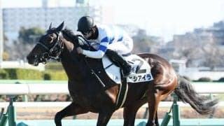 【注目馬動向】マーガレットＳ２着のヒシアイラは葵Ｓ　ホワイトオーキッドは西塚洸二騎手との再コンビでファルコンＳへ