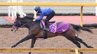 【報知杯ＦＲ】得意距離で桜切符つかむ！関東馬サンアントワーヌが滞在中の栗東で好調教　荻野極騎手「具合の良さ...」