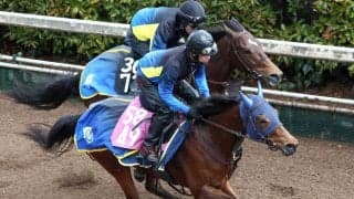 【報知杯ＦＲ】テイエムスティールは迫力十分に加速　高橋一調教師「このクラスでどのくらいやれるか」