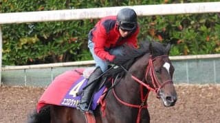 【注目馬動向】中山記念３着のエコロヴァルツは大阪杯が目標　セイウンハーデス、ファウストラーゼンも同レースへ