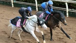 【報知杯ＦＲ】マルガは新コンビの川田将雅騎手の騎乗でリズム重視の調整　陣営「感触をつかんでほしかった」