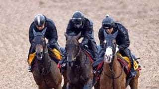 【報知杯弥生賞・イシゴーが見た】ギア１段アップ！ここあっさりならパントルナイーフはクラシック戦線の主役以上になれる