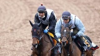 【中山牝馬Ｓ】「言うことない」上原佑調教師も状態に太鼓判　連勝街道を突っ走るニシノティアモが楽々と併入