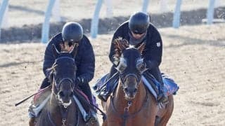 【報知杯ＦＲ】京王杯２歳Ｓ３着のトワニ　蛯名正調教師「具合は安定している」実績十分の７ハロンで巻き返しへ