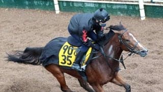 【中山牝馬Ｓ】実績上位のパラディレーヌが休養明けでも格好をつける　千田調教師「言い訳できるポジションにいない」