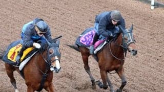 【報知杯ＦＲ】ショウナンカリス阪神ＪＦ７着から逆襲へ　加藤士調教師「動きも良さそう」１ハロン短縮で勝負気配