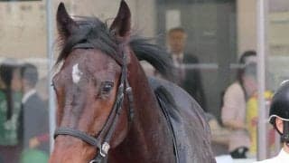 【注目馬動向】ＵＡＥダービー目標のロックターミガンは中東情勢の影響により京浜盃、伏竜Ｓも選択肢