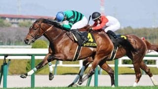 【注目馬動向・３歳】すみれＳ制覇のラージアンサンブルは皐月賞でＧ１初挑戦