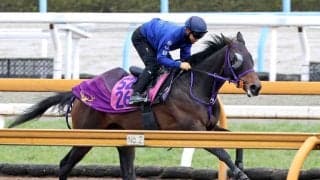 【報知杯ＦＲ】サンアントワーヌがＧ評価。「ギアを上げ続けていくのが強み」初コンタクトの荻野極も好感触