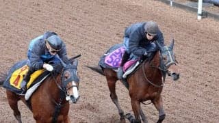【報知杯ＦＲ】ショウナンカリス、阪神ＪＦ７着からの巻き返しへ水分を含んだ馬場を力強く駆け上がった