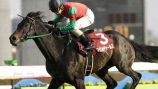 クラシックを賑わせたラフィアン所属馬 マイネルチャールズが制した08年弥生賞を回想