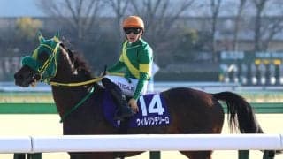 【注目馬動向】中東情勢の影響を受けウィルソンテソーロはドバイ遠征中止　高木調教師「歴代勝利調教師も招待されて...」