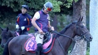 【注目馬動向】イクイノックスの全妹イクシードはフラワーＣでの復帰を視野