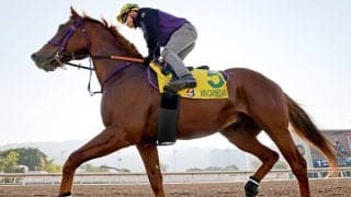 【注目馬動向】中東情勢の影響を受けウインカーネリアンはドバイ遠征中止　高松宮記念へ