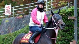１日のチューリップ賞を制したタイセイボーグが左第１指骨を剥離骨折　ＪＲＡ発表
