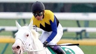 【報知杯ＦＲ】２１年の桜花賞を含むＧ１・３勝ソダシの半妹　白毛のマルガは抽選で除外