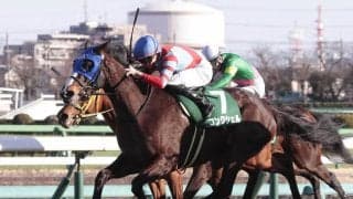 ２４年の中山牝馬Ｓを勝ったコンクシェルが競走馬登録を抹消　今後はノースヒルズで繁殖牝馬に