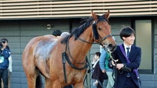 【注目馬動向】カーバンクルＳ１２着のシンバーシアは愛知杯へ