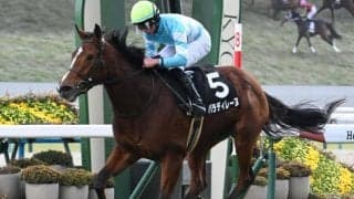 【中山牝馬S出走馬・騎手確定】パラディレーヌ＆岩田望来騎手、ボンドガール＆岩田康誠騎手など16頭