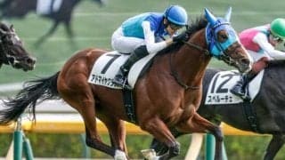 【弥生賞出走馬・騎手確定】アドマイヤクワッズ＆坂井瑠星騎手、ライヒスアドラー＆佐々木大輔騎手など10頭