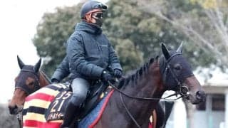 【報知杯弥生賞】首位候補のパントルナイーフが回避　左後肢のフレグモーネの見込み