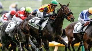 【フィリーズレビュー出走馬・騎手確定】サンアントワーヌ＆荻野極騎手、ショウナンカリス＆池添謙一騎手など18頭