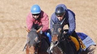 【金鯱賞１週前】重賞４連続２着のドゥラドーレスはゴール後もびっしり　宮田調教師「これで上がってきてくれれば」