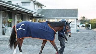 【報知杯ＦＲ】「この馬の調整方法をつかんできました」と陣営　メンバー唯一オープン勝ち馬コラルリーフが報知杯連勝目指す　