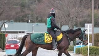 中山牝馬Ｓでラストランを迎えるビヨンドザヴァレーがラスト調教　陣営「最後はいい形で終わりたいな」