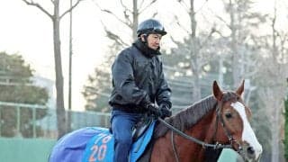【注目馬動向】引退した小西厩舎から転厩のペイシャエス、２４年の覇者ヴァルツァーシャルはマーチＳを予定