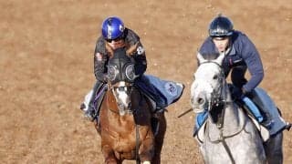 【金鯱賞１週前】「反応と動きが物足りなかった感じ」アーバンシックはレースまでに上積み目指す