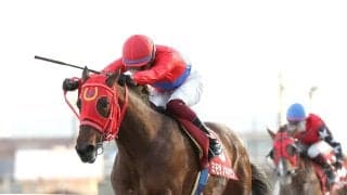 【笠松・ジュニアグローリー】マッチレース制した　ミモザノキセツが重賞３勝目　加藤聡一騎手「苦しい展開でした」