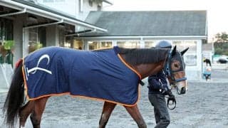 【報知杯ＦＲ】コラルリーフ“報知杯連勝”で桜切符だ