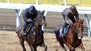 【報知杯弥生賞】ライヒスアドラー上昇ムード 佐々木大輔騎手雪辱へ「動き上がってきた」