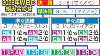 【WBC】ドミニカ共和国の正遊撃手ペーニャが右手薬指骨折、大会は欠場