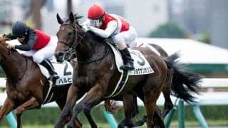 【フィリーズレビュー枠順確定】ショウナンカリスは2枠4番、サンアントワーヌは8枠17番