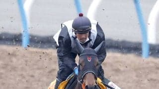 【中山牝馬Ｓ】重賞連勝を狙うニシノティアモは７枠１４番　パラディレーヌは２枠４番　枠番確定