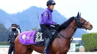 【報知杯弥生賞】朝日杯ＦＳ３着のアドマイヤクワッズは６枠６番　川田将雅騎手と初コンビのバステールは７枠８番