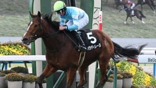 【中山牝馬S枠順確定】パラディレーヌは2枠4番、アンゴラブラックは5枠10番