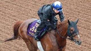 【注目馬動向】シャンパンカラーは再びマイルへ　岩田康誠騎手で読売マイラーズＣを予定