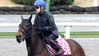 【報知杯ＦＲ】新馬レコードＶのルージュサウダージは落ち着き十分　松永幹調教師「１ハロンの距離延長をこなしてくれたら」