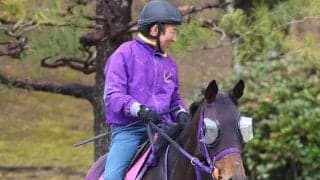 【報知杯ＦＲ】栗東滞在のサンアントワーヌは坂路で最終調整　陣営「飼い食いも問題ないですし、落ち着いています」