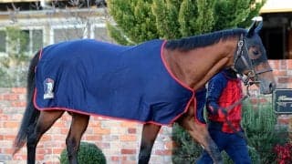 【注目馬動向】フェブラリーＳ連覇のコスタノヴァは状態確認後にドバイ遠征を判断へ　社台グループオーナーズ発表