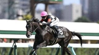 【スプリングS想定馬・騎手】アスクエジンバラ、クレパスキュラーなど18頭