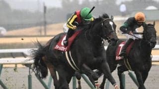 【金鯱賞想定馬・騎手】クイーンズウォーク、アーバンシックなど14頭