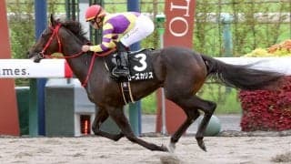 【報知杯ＦＲ】阪神ＪＦ１３着のローズカリスは距離短縮で怖い存在　大橋調教師「１６００メートルより...」