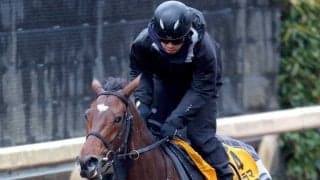 【中山牝馬Ｓ】前走以上のレーゼドラマは大外枠も問題なし　辻野調教師「フィジカル的には今回の方が良さそう」