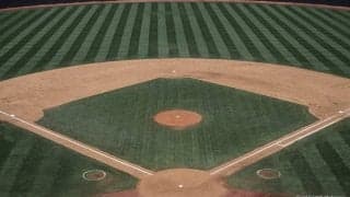 WBC開幕。MLBの各球団ごとに選ばれた選手数から見えてくること