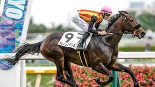 【フィリーズレビュー予想】関西馬が圧倒する桜花賞トライアル！ 関東馬は前走で好走した勢いが必要不可欠