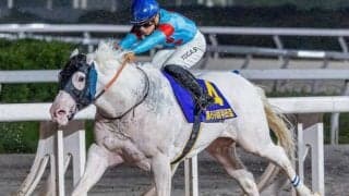 【総武S】現役唯一の白毛の重賞ウイナー アマンテビアンコが1年11カ月ぶりの復帰戦だ